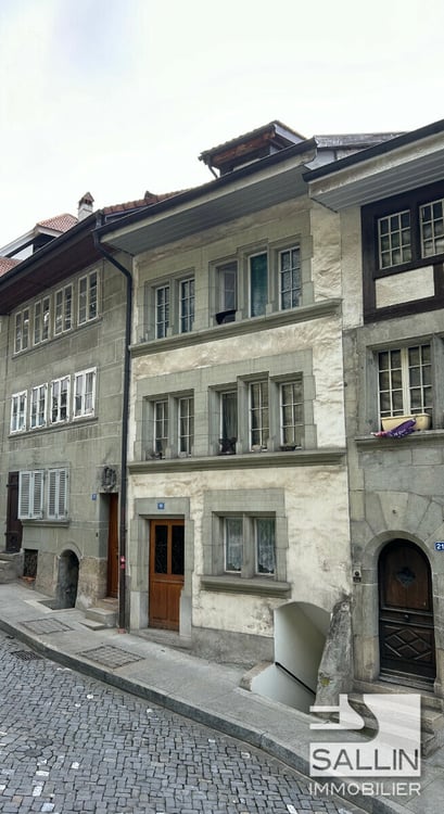 APPARTEMENT DUPLEX RENOVE DE 3½ PIECES A L'ENTREE DE LA BASSE VILLE 2