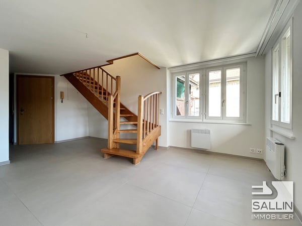 APPARTEMENT DUPLEX RENOVE DE 3½ PIECES A L'ENTREE DE LA BASSE VILLE 4