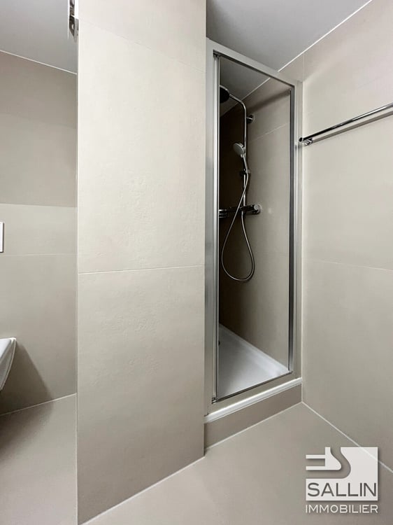 APPARTEMENT DUPLEX RENOVE DE 3½ PIECES A L'ENTREE DE LA BASSE VILLE 12