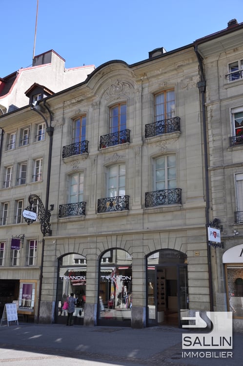 APPARTEMENT DUPLEX DE 3½ PIECES DANS IMMEUBLE PATRICIEN 1