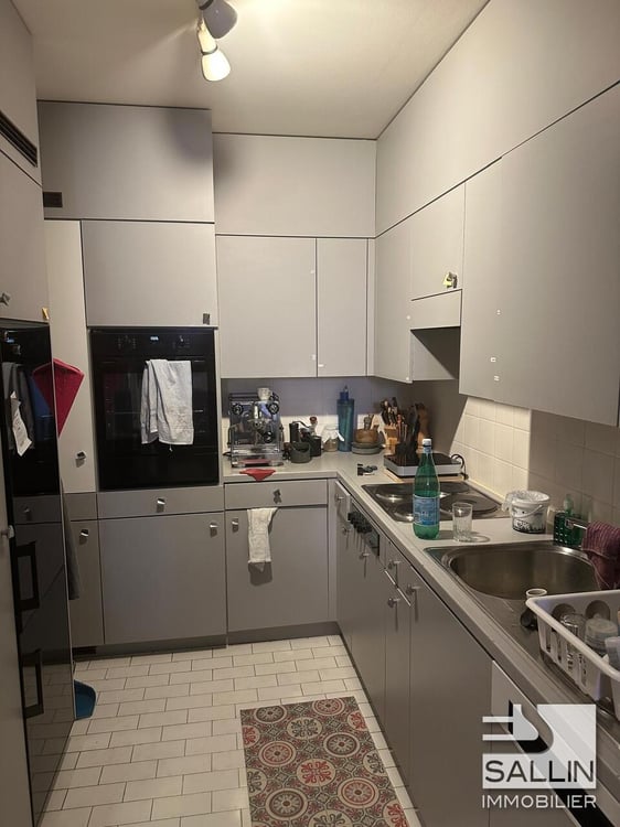 APPARTEMENT DUPLEX DE 3½ PIECES DANS IMMEUBLE PATRICIEN 3