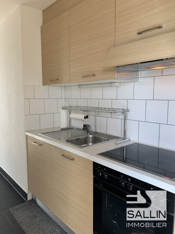 APPARTEMENT RENOVE DE 2½ PIECES AVEC VUE DEGAGEE 5