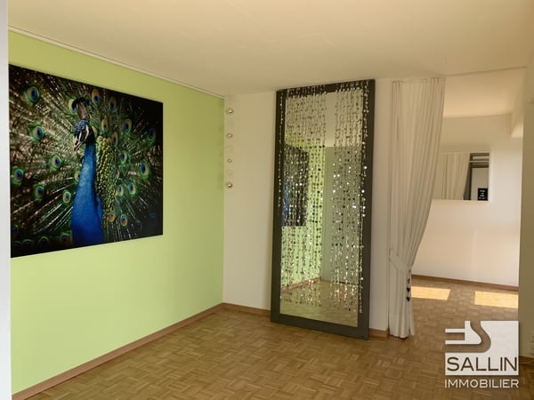 APPARTEMENT RENOVE DE 2½ PIECES AVEC VUE DEGAGEE 13