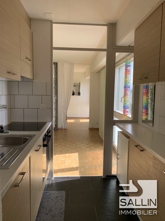APPARTEMENT RENOVE DE 2½ PIECES AVEC VUE DEGAGEE 3