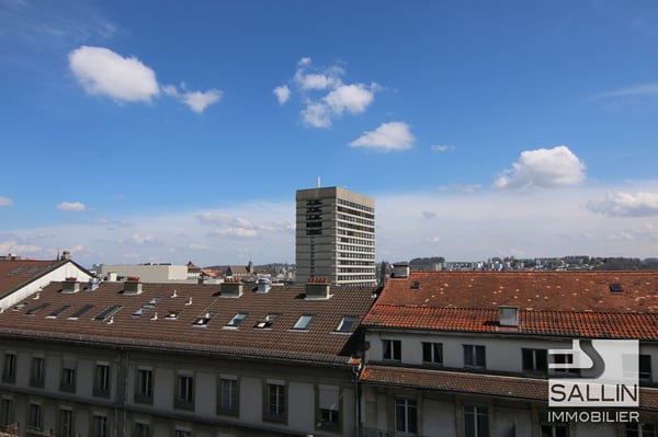 APPARTEMENT DE 3½ PIECES AU CENTRE VILLE 2