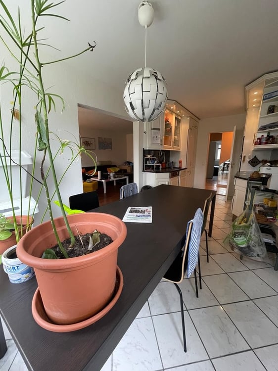Ihr neues Zuhause in Muttenz 3