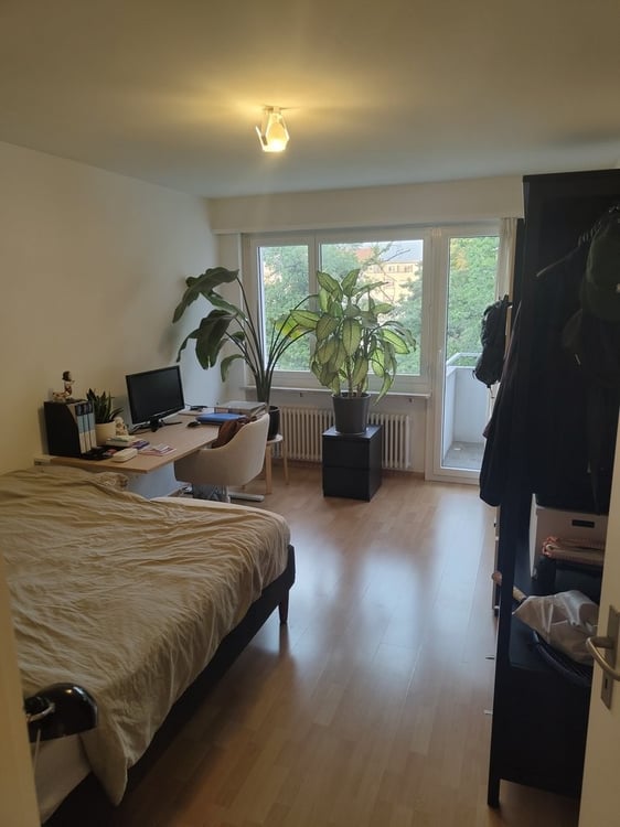 Grosszügige Wohnung im Gundeli-Quartier 11