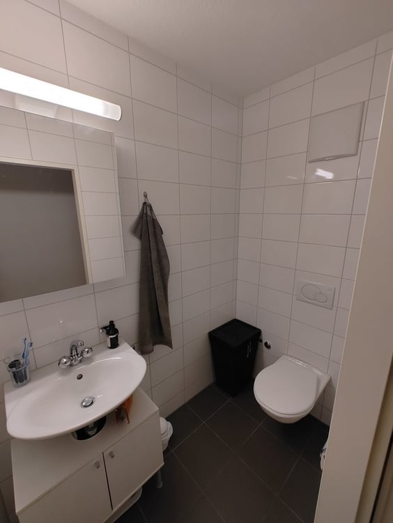 Grosszügige Wohnung im Gundeli-Quartier 4