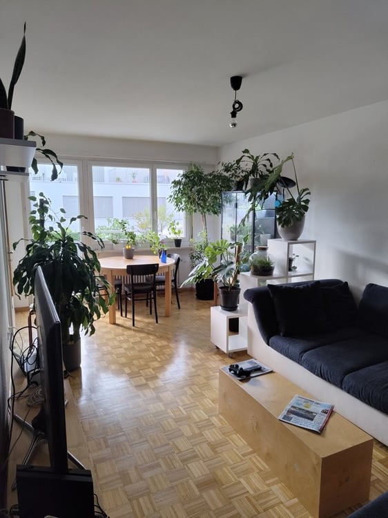 Grosszügige Wohnung im Gundeli-Quartier 8