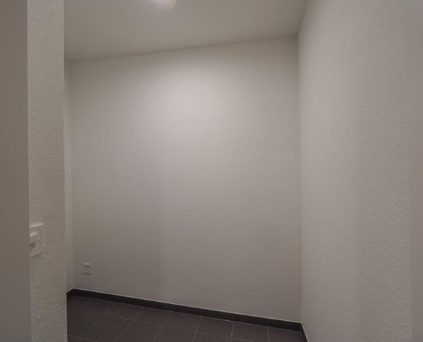 ERSTVERMIETUNG IN LIESTAL - jede Wohnung mit eigenem Waschturm 5