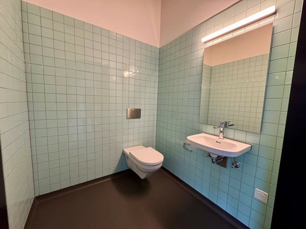 Atelierfläche Rösslimatt - Raum für Ihre Visionen 5