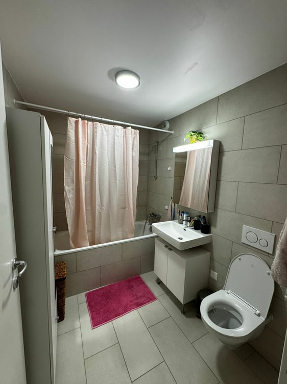 Charmant appartement lumineux idéalement situé à proximité immédiate de la gare de Renens 4
