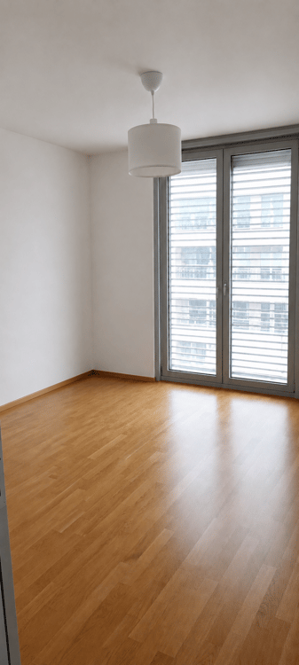 Splendide appartement moderne avec loggia 4