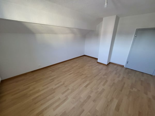Magnifique duplex entièrement rénové avec grand balcon 6