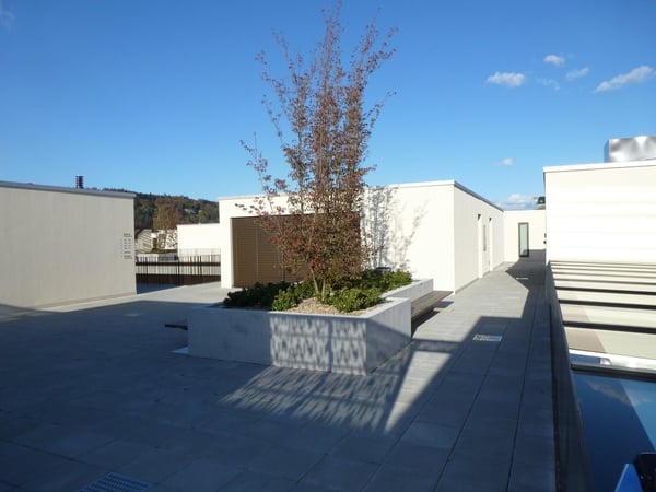 Helle 1.5-Zimmer-Wohnung 7