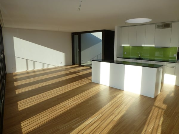 Helle 1.5-Zimmer-Wohnung 2