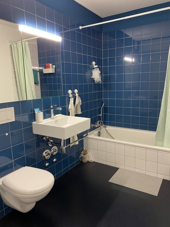 Traumhafte Wohnung in Birmensdorf zu vermieten! 5