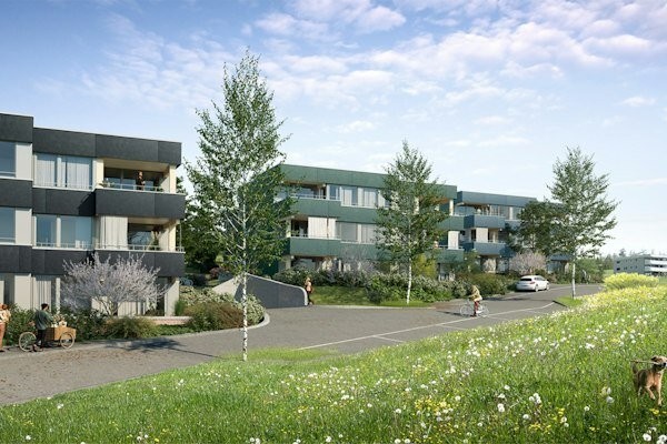 Traumhafte Wohnung in Birmensdorf zu vermieten! 1