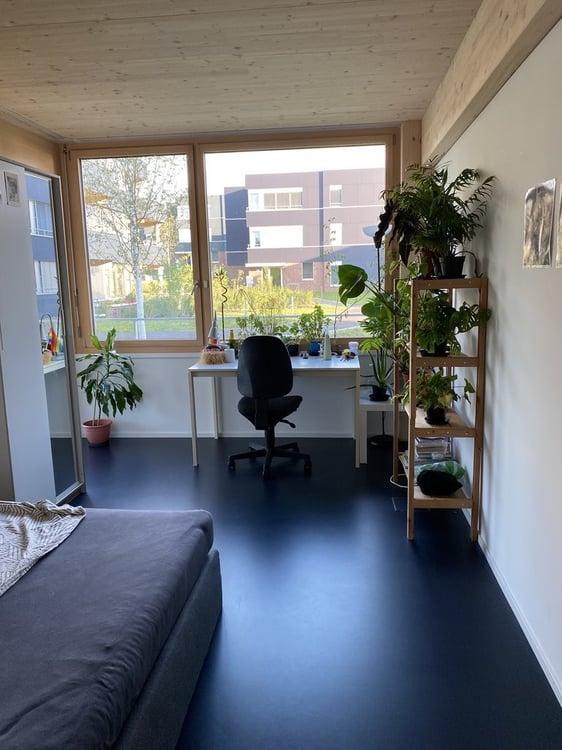 Traumhafte Wohnung in Birmensdorf zu vermieten! 6