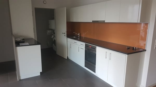 grosszügige, gemütliche 1.5 Zimmer-Wohnung 4