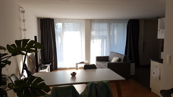 grosszügige, gemütliche 1.5 Zimmer-Wohnung 3