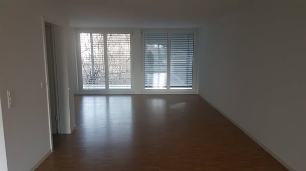 grosszügige, gemütliche 1.5 Zimmer-Wohnung 2