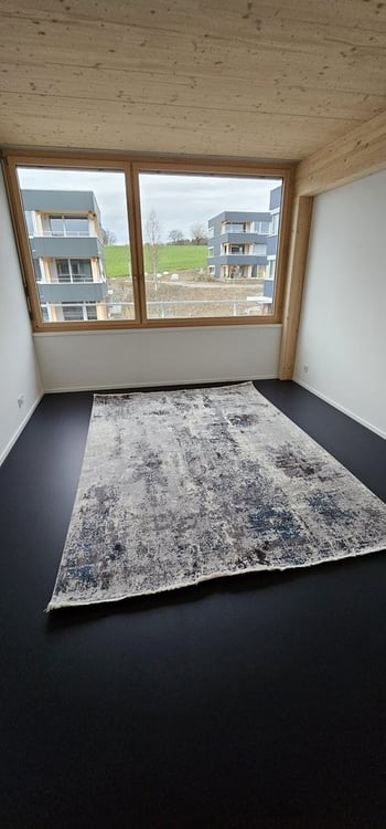 3.5 Zimmer-Wohnung in Birmensdorf (ZH) Ihr neues Zuhause im Grünen 3