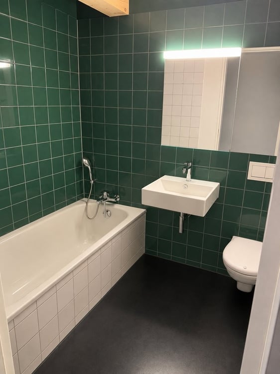 4.5 Zimmer-Wohnung in Birmensdorf (ZH) Ihr neues Zuhause im Grünen 5