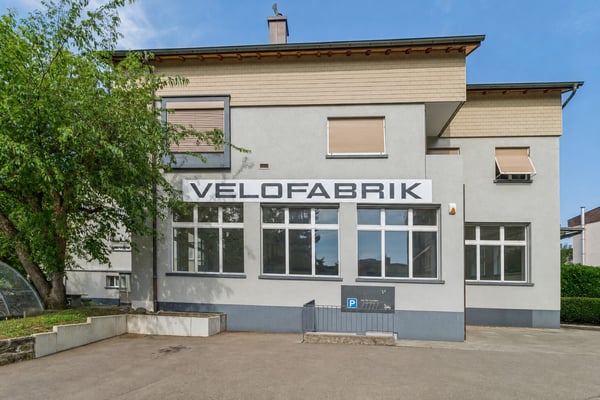 Vielseitige Gewerbefläche/Werkstatt mit Showroom-Charakter zu vermieten! 1