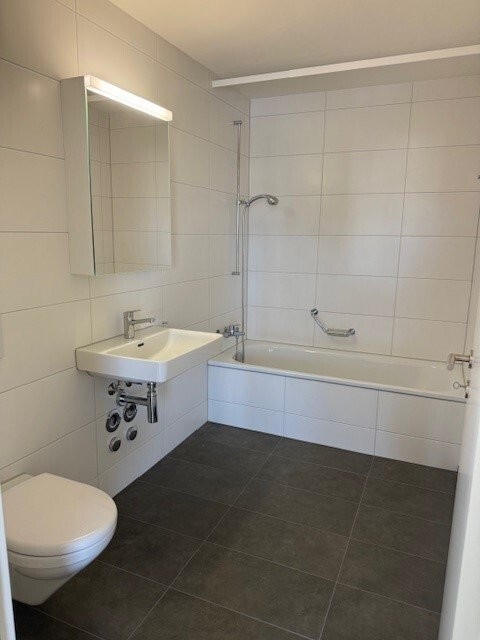 Traumhafte 1.5-Zimmer-Attikawohnung in Liestal zu vermieten 7