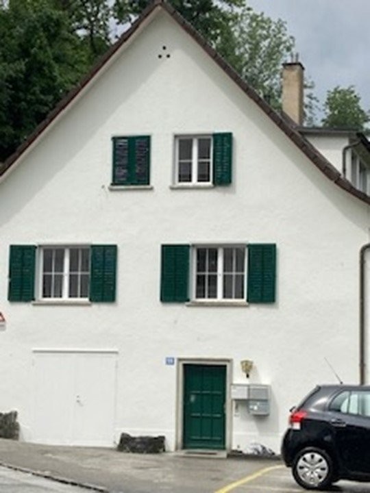 1-ZImmerwohnung in Zollikerberg gesucht? 1