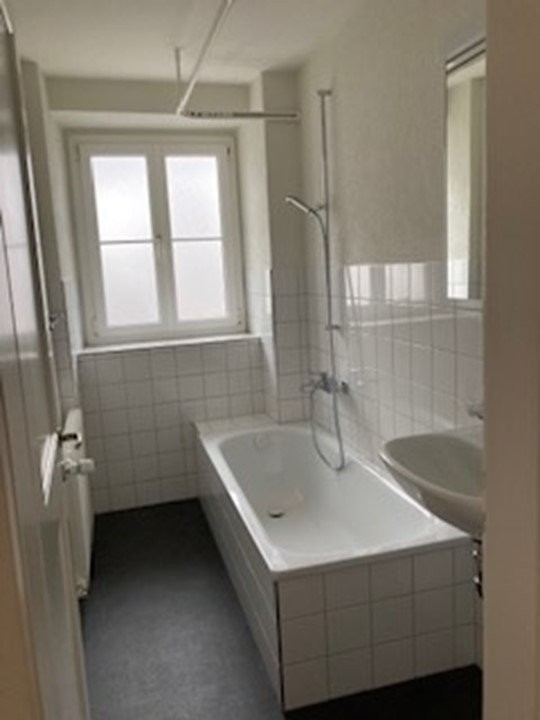 1-ZImmerwohnung in Zollikerberg gesucht? 3