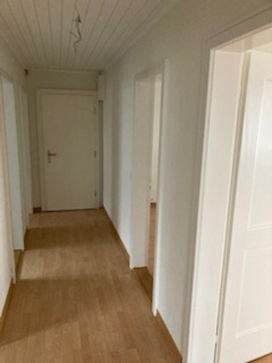 1-ZImmerwohnung in Zollikerberg gesucht? 8