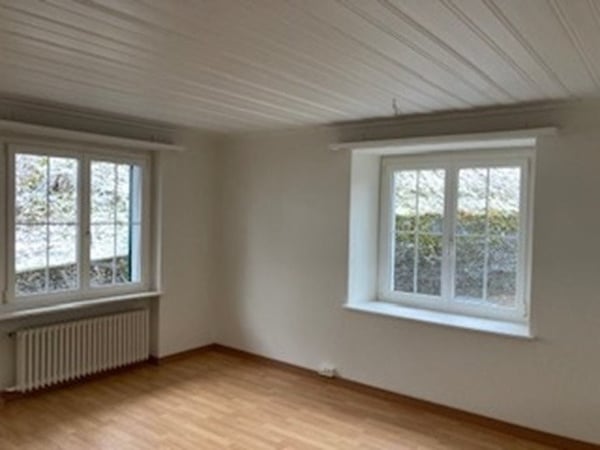 1-ZImmerwohnung in Zollikerberg gesucht? 5