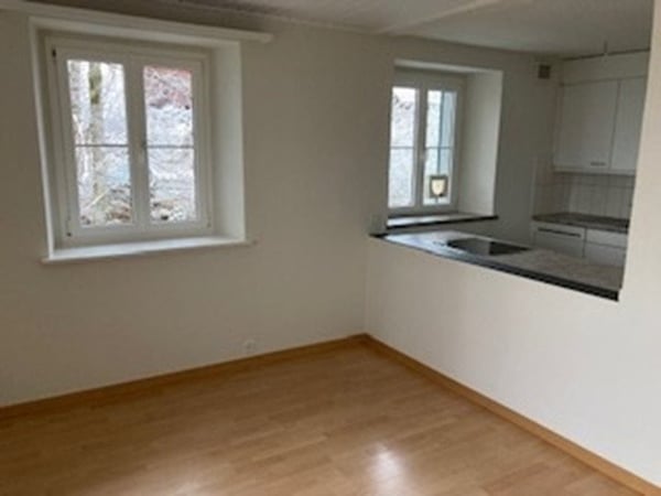 1-ZImmerwohnung in Zollikerberg gesucht? 6