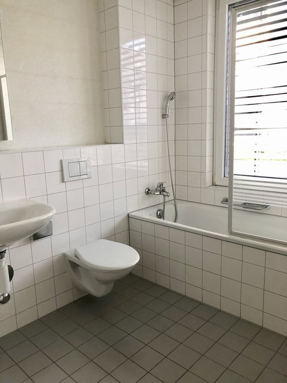 Stilvoll leben nähe Zürich - exklusiv an der Roosstrasse 3