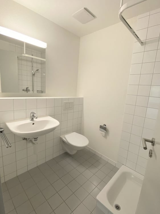 Stilvoll leben nähe Zürich - exklusiv an der Roosstrasse 4