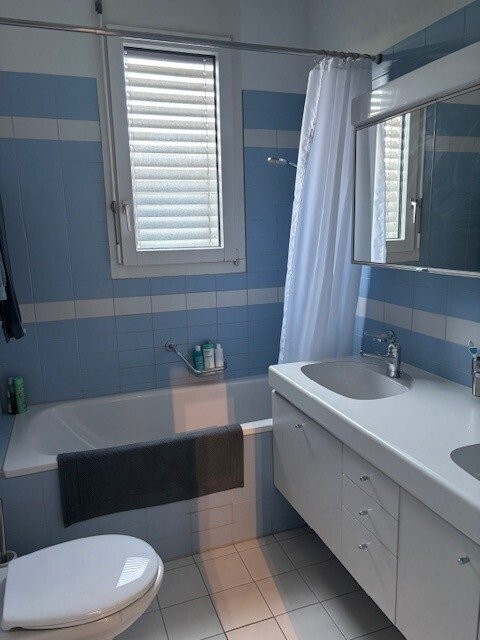 Helle Dachwohnung mit Blick über Basel 3