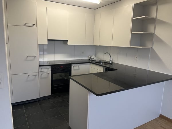 Grosszügige 1.5-Zimmer-Wohnung - zentral und ruhig gelegen 2