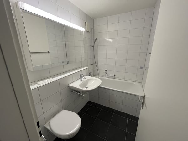 Grosszügige 1.5-Zimmer-Wohnung - zentral und ruhig gelegen 9