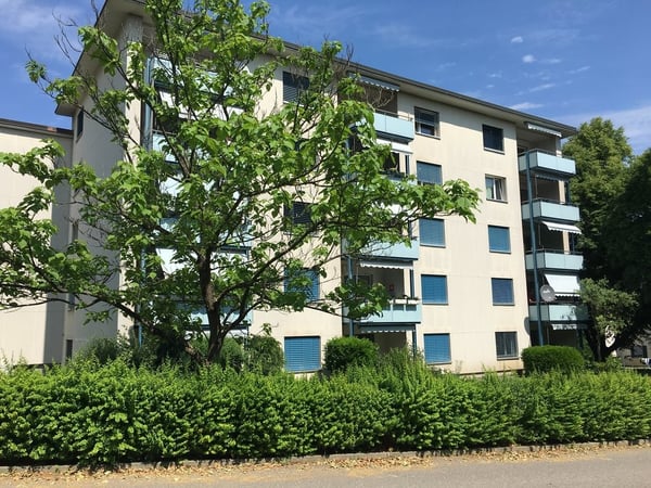 Sanierte 1.5-Zimmer-Wohnung in Dietikon zum vermieten 1