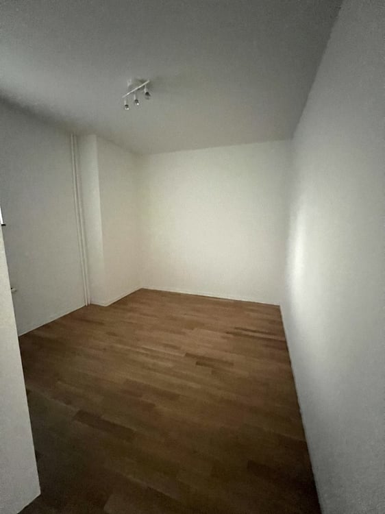 Sanierte 1.5-Zimmer-Wohnung in Dietikon zum vermieten 7