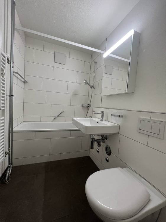 Sanierte 1.5-Zimmer-Wohnung in Dietikon zum vermieten 5