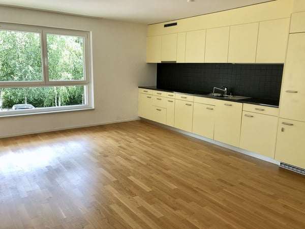 Stilvoll leben nähe Zürich - exklusiv an der Roosstrasse 2