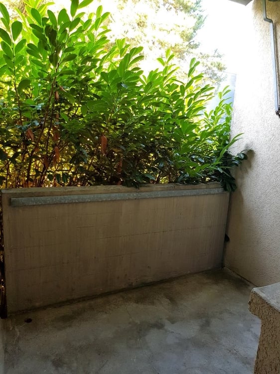 Die perfekte Single-Wohnung! 6