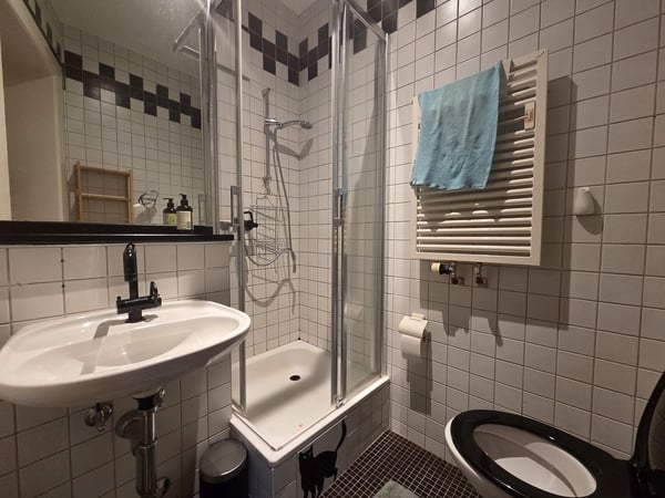 Grosszügige 1.5-Zimmer-Wohnung an begehrter Lage im Kreis 6 6