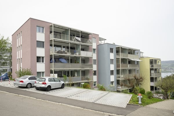 Hier wartet Ihr neues Zuhause 2