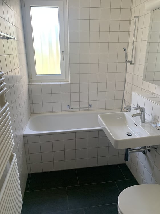 Urban angebunden, naturnah gelegen: Höngg erleben. 3