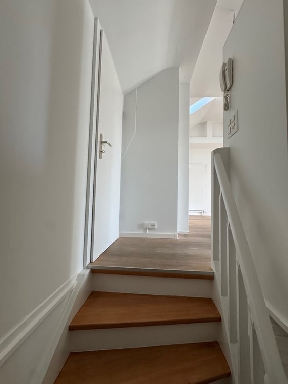 Sanierte 1.5-Zimmer-Loftwohnung über den Dächern von Zürich 5