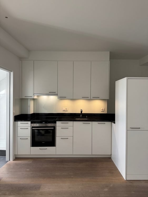 Sanierte 1.5-Zimmer-Loftwohnung über den Dächern von Zürich 4